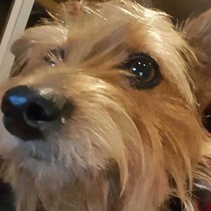 Meet your Posher, Mark